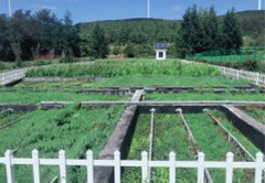 <b>曲靖市马龙县马鸣乡人工湿地污水处理</b>